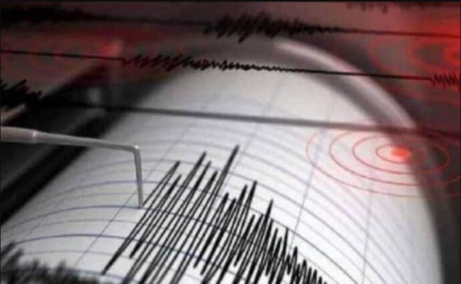 न्यूजीलैंड में शक्तिशाली भूकंप, 7.3 तीव्रता मापी गई