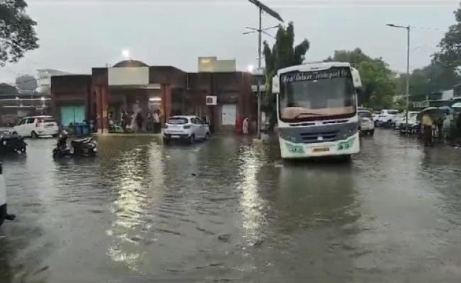 किसानों के लिए संजीवनी होगी झमाझम बारिश, अस्पताल व घरों में हुआ जलभराव