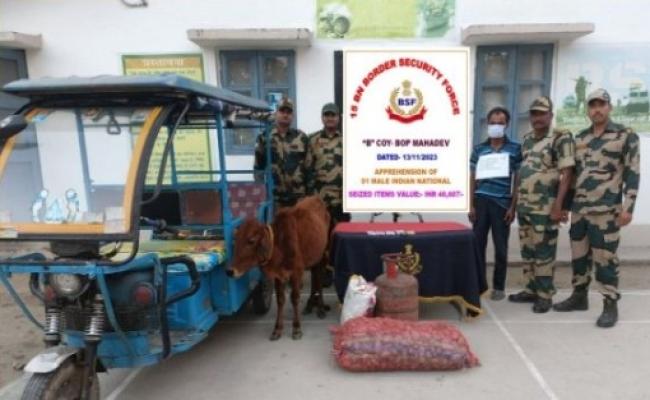 भारत-बांग्लादेश सीमा क्षेत्र से मवेशी तस्कर भारतीय धराया