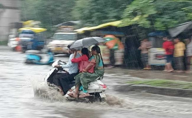 मप्र में फिर बन रहा बारिश का स्ट्रॉन्ग सिस्टम, आज 7 जिलों में तेज बारिश का अलर्ट